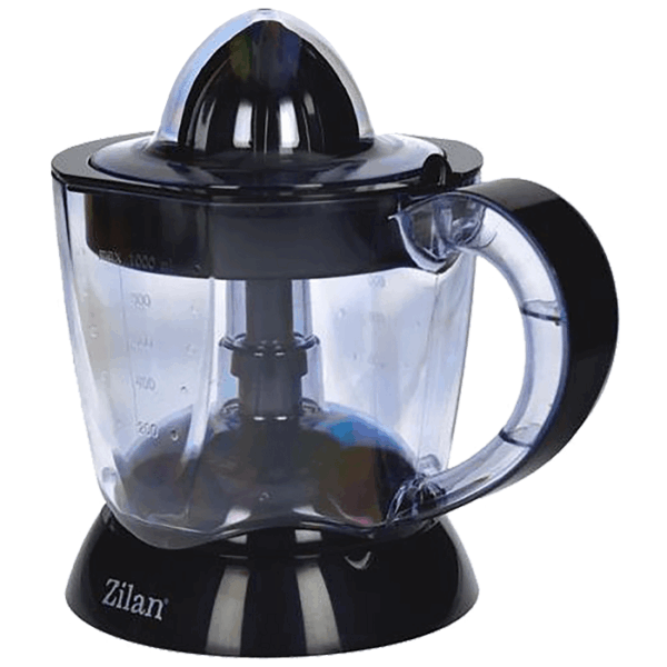 CITRUSETA ZILAN ZLN 7801 BK CRNA
