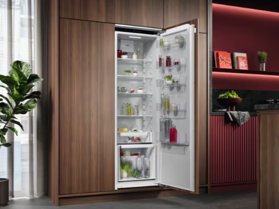 923584341 HLADNJAK AEG TK6 DS181EC