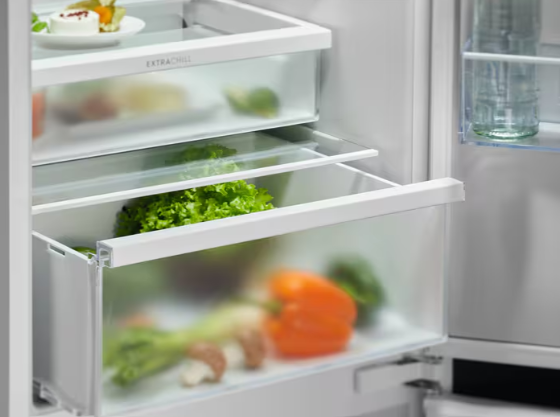 925555020 HLADNJAK ELECTROLUX ENT 6MD18S3