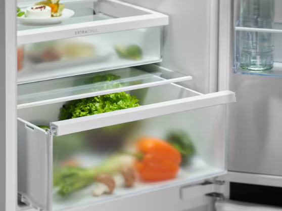 925954020 HLADNJAK ELECTROLUX ENT 6MD19S3