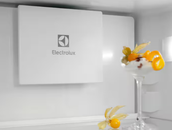 925954020 HLADNJAK ELECTROLUX ENT 6MD19S3