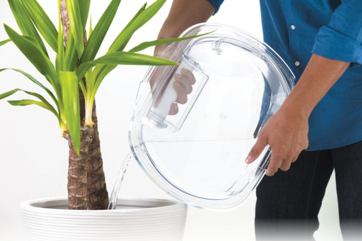 31102194 SUŠILICA RUBLJA CANDY CSOE H8A2DE-S